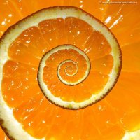 Бесконечный апельсин :: Андрей Устюжанин