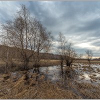 По росту :: Сергей Бережко