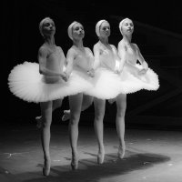 Танец маленьких лебедей :: Мария Рябкова