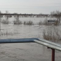 Заречный, разлив Ишима :: Антон Домбровский