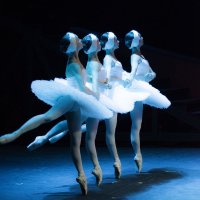 Танец маленьких лебедей 2 :: Мария Рябкова
