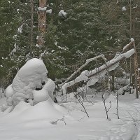 Снежные скульптуры людей :: Валерий. Талбутдинов.