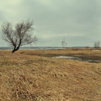 Чашкинские заливы :: Евгений Грачев