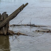 что-то сломанное :: Владимир Притчин