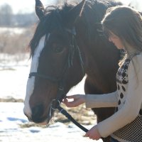 Прогулка с лошадью :: Irina Rykova