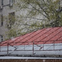 Майский снегопад :: Владимир  Зотов 