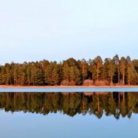 Весенний лес возле озера :: Анастасия Радыно