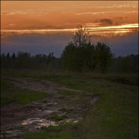 после дождика в четверг..... :: Сергей Израилев