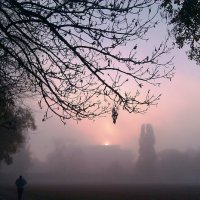 туман, восход :: Наська Кас 