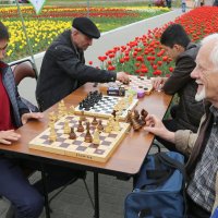 Мастер уличного блица (Шахматный урок) :: Mikhail Znamenskiy