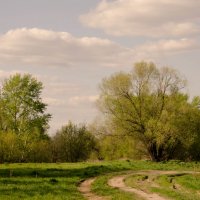 Где-то в подмосковье у р. Оки :: *** Атланта ***