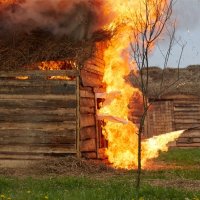 Враги сожгли родную хату... :: Максим Бочков