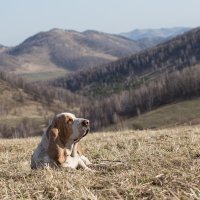 На перевале :: Евгения Цвеклинская