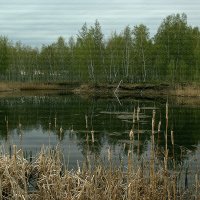 "Колдовское" озеро1 :: Kassen Kussulbaev