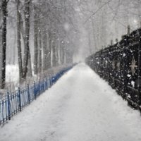Зима. Последний снег. :: Анастасия Алексеева