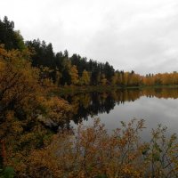 Озеро Шой-Тыр (г. Сыктывкар) :: Виталий Житков