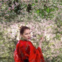 Цветы сакуры :: Ksenya DK