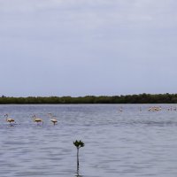 Озеро Бока-де-Каньо (Boca de Cano) :: Дмитрий Иванов