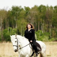 Фотосесии с лошадьми :: Кристина Щукина