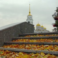 Осень пришла! :: Владимир Шошин