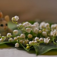 Смотрят и нюхают ... ) :: Ольга Винницкая (Olenka)