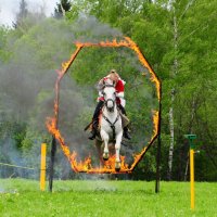 Коня на скаку остановит,в горящую избу войдёт... :: Андрей Куприянов