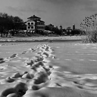 Следы на снегу :: Валерий Кролик