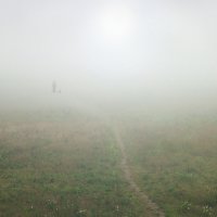 Прогулка в тумане :: Валерий Талашов