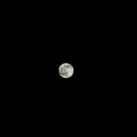 Луна :: Полина Воркачева