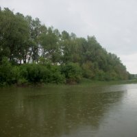 Дождь на реке Ишим :: Анна Наумова