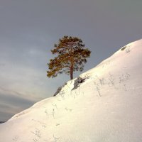 село Слобода :: Александр Коликов