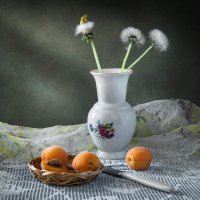 С абрикосами. :: Наталья Чернова