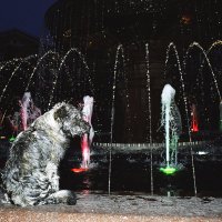 Собака на фонтане :: Сергей Коновалов