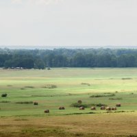 Полдень в августе :: Николай Варламов