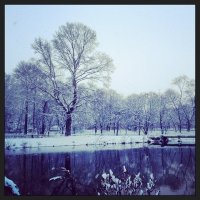 First snow :: Olga Ionina G