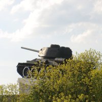 Воробей и танк... :: Владимир Павлов