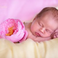 Newborn. :: Elena Lonskaya