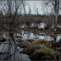 Пейзаж ХХIII века :: Василий Хорошев