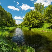Река Тихая сосна в мае :: Алена Бадамшина