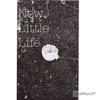 New little life :: Катерина 