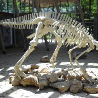 Скелет динозавра... :: Arusia Davrisheva