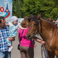 *** :: Сергей Старовойт