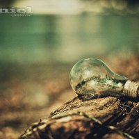 Одинокая лампочка :: SmartDaniel 