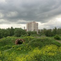 На Великолукской крепости... :: Владимир Павлов