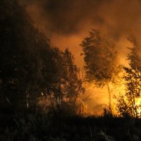 зарево :: Ежи Сваровский