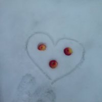 Яблоки на снегу :: Мила 