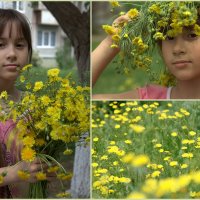 совсем как одуванчики! :: Ольга Кучаева