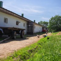 В Ясной поляне :: Ольга Колосова