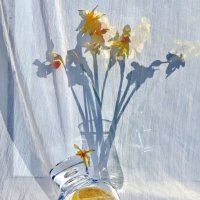 Натюрморт с цветами и лимоном :: Нина Штейнбреннер