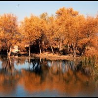 Осень.Озеро :: Ахмед Овезмухаммедов
